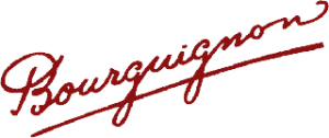 LOGO 1 300x126 1