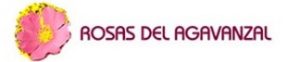 LOGO 3 300x62 1
