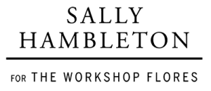 logo 4 300x129 1